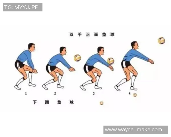 排球新手必看：掌握节奏与技巧的全面入门指南