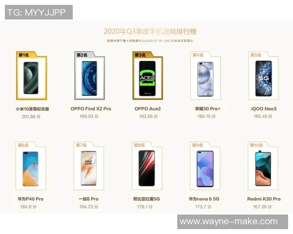 深圳排球队在全国排球比赛经验排行榜中荣获第九名的荣耀成就分析